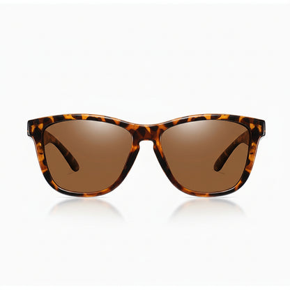 Stout sunglasses