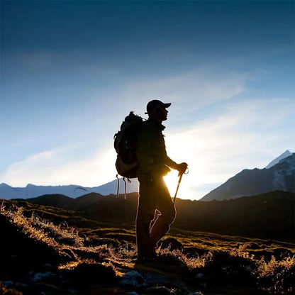 Lightweight Quick-Lock Trekking Poles (2 pieces)